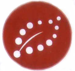 acena.it-parametri