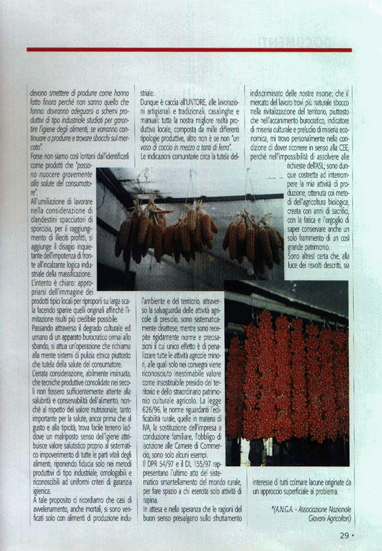 articolo pizza magazine